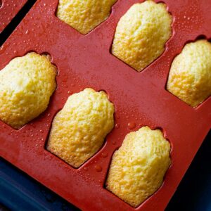 madeleine vaniglia appena sfornate